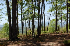 North GA mountains view from hiking trail