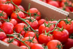 Farmers market tomatoes - Cumming GA Forsyth County